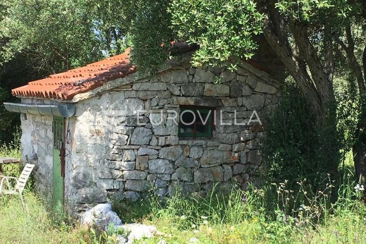 Istra, Rovinjsko selo, 6599m2 poljoprivredno zemljište  s manjim gospodarskim objektom 