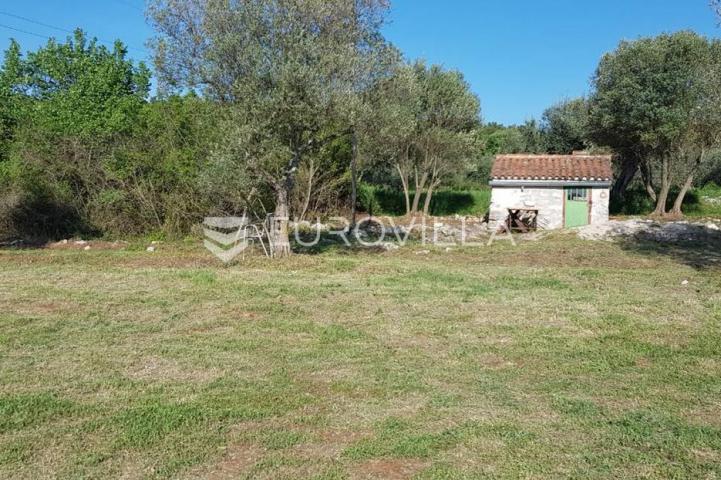 Istra, Rovinjsko selo, 6599m2 poljoprivredno zemljište  s manjim gospodarskim objektom 