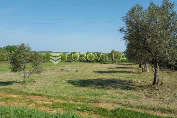 Istra, Rovinjsko selo, 6599m2 poljoprivredno zemljište  s manjim gospodarskim objektom 