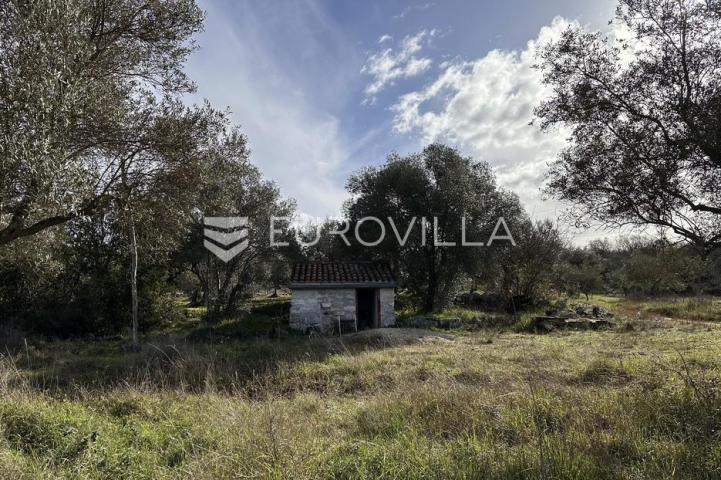 Istra, Rovinjsko selo, 6599m2 poljoprivredno zemljište  s manjim gospodarskim objektom 