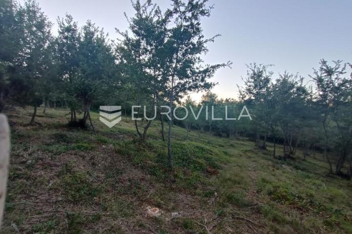 Istra, Kringa, novoizgrađena luksuzna vila u roh bau fazi s imanjem od 17.106 m2