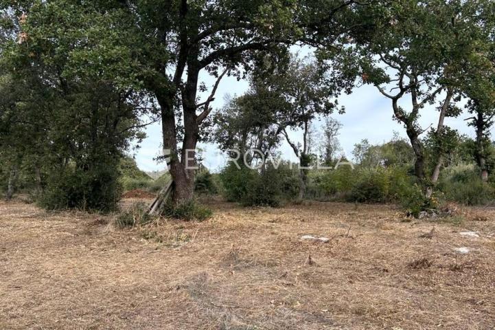 Istra, Barbariga - građevinsko zemljište s pogledom na more
