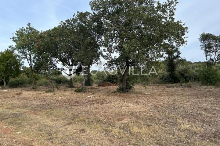 Istra, Barbariga - građevinsko zemljište s pogledom na more