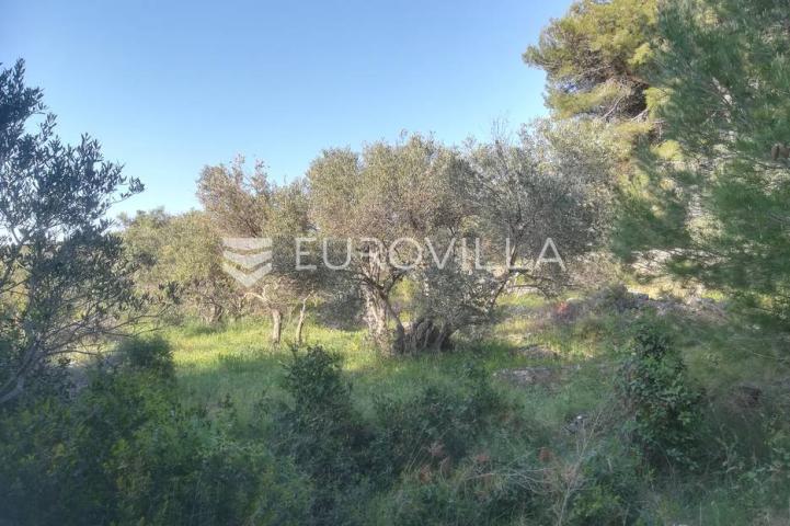 Otok Murter, prodaja zemljišta, 1295 m2, prvi red do mora  