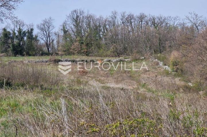 Istra, Karojba 3465m2 građevinskog zemljišta + 1200m2 poljoprivrednog