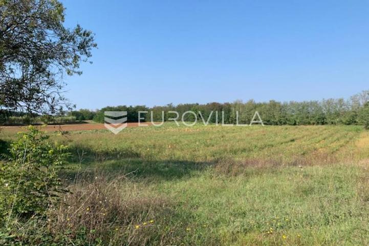 Poreč, Dračevac, zemljište u industrijskoj zoni 5021 m2