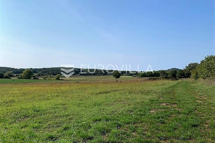 Istra, Poreč okolica poljoprivredno gospodarsko zemljište 2401 m2, Mugeba