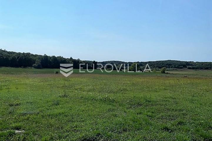 Istra, Poreč okolica poljoprivredno gospodarsko zemljište 2401 m2, Mugeba