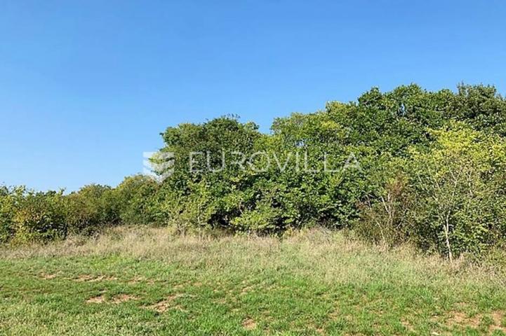 Istra, Poreč okolica poljoprivredno gospodarsko zemljište 2401 m2, Mugeba