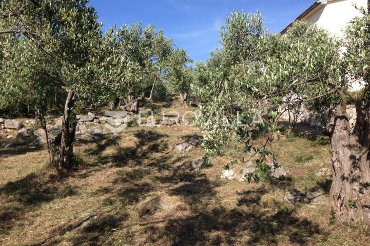 Pašman, Ždrelac, atraktivno građevinsko zemljište prvi red do mora, 571 m²