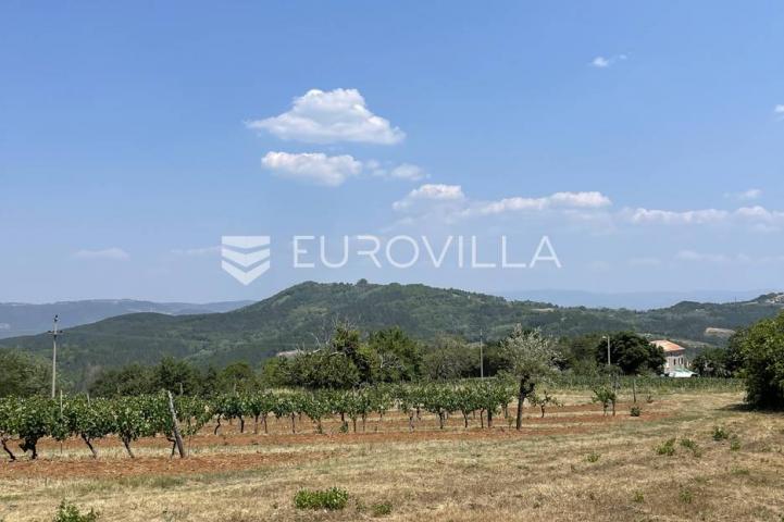 Istra, Rakotule, građevinsko zemljište s ishodovanom dozvolom za villu s bazenom, 1046 m²