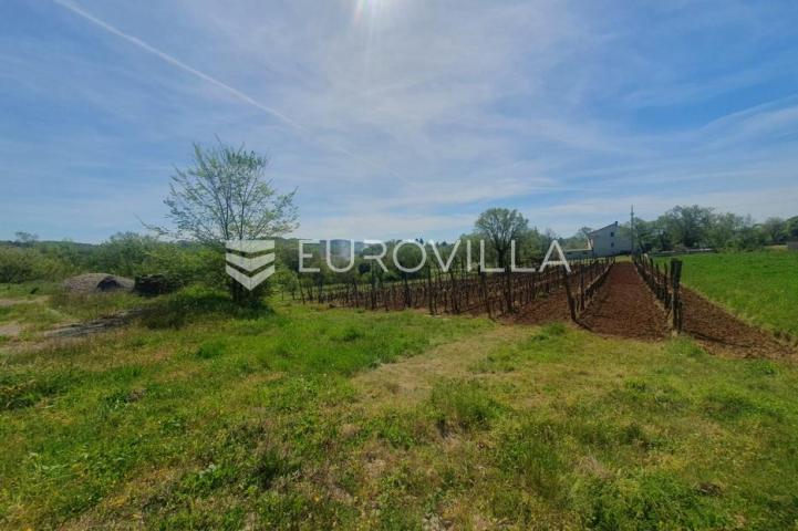 Istra, Novaki Motovunski, građevinsko zemljište