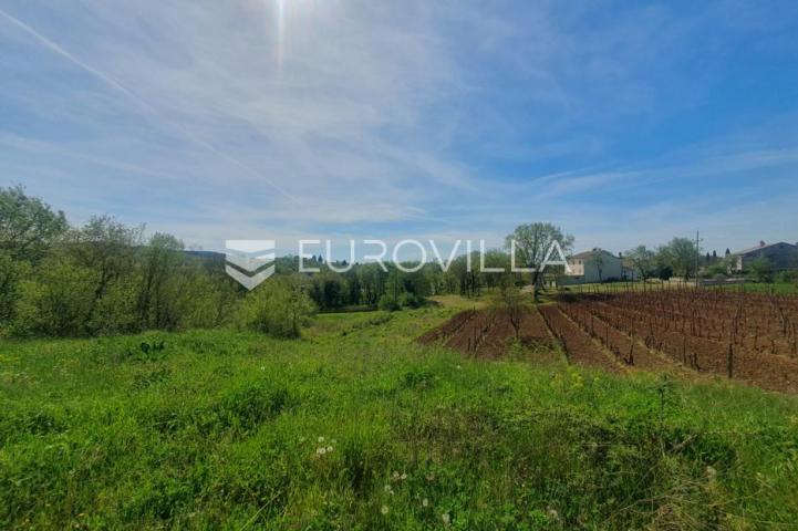 Istra, Novaki Motovunski, građevinsko zemljište
