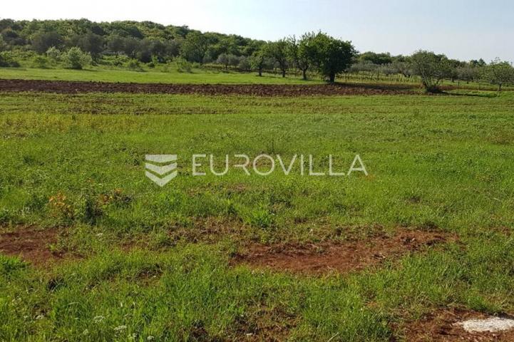 Istra, Rovinjsko selo, poljoprivredno zemljište 7217m2