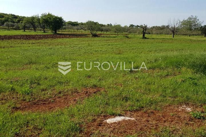 Istra, Rovinjsko selo, poljoprivredno zemljište 7217m2