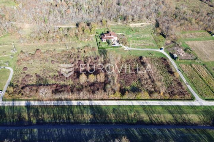 Motovun, Livade, PRILIKA odlično zemljište okruženo prirodom