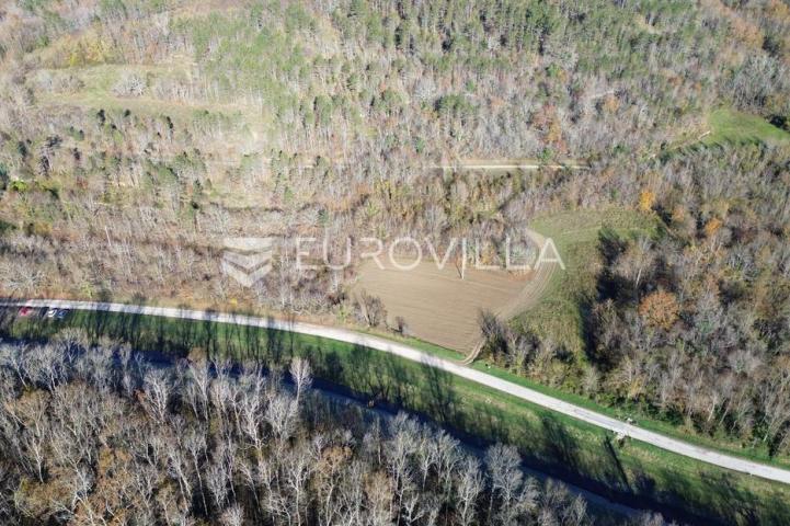 Motovun, Livade, PRILIKA odlično zemljište okruženo prirodom