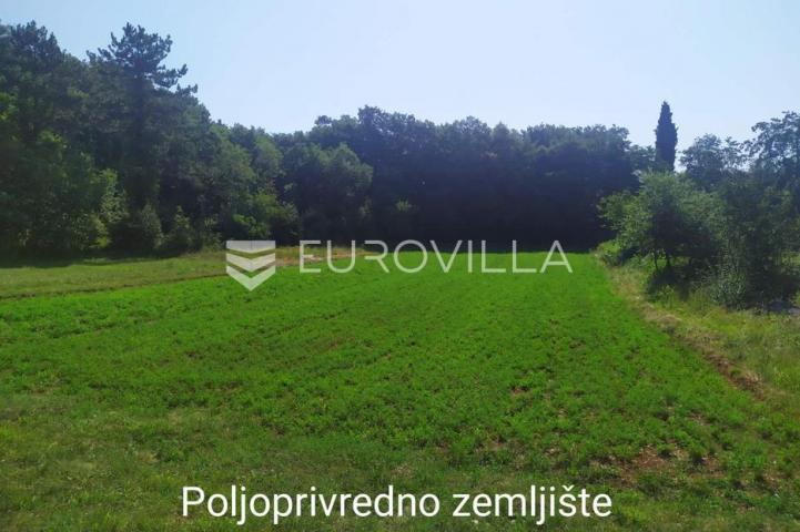 Istra, Tinjan – Kombinirano građevinsko i poljoprivredno zemljište 4557m2 u srcu Istre