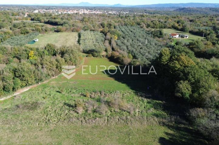 Istra, Marčana, poljoprivredno zemljište blizu centra Marčane