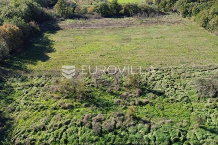 Istra, Marčana, poljoprivredno zemljište blizu centra Marčane