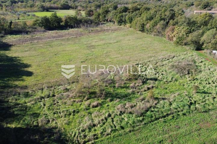 Istra, Marčana, poljoprivredno zemljište blizu centra Marčane