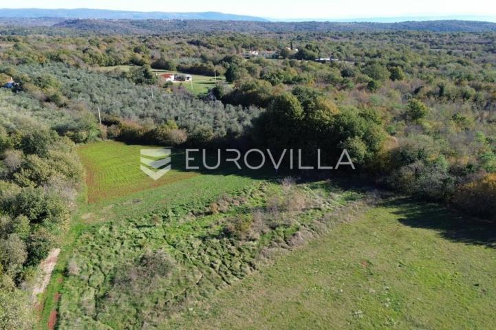 Istra, Marčana, poljoprivredno zemljište blizu centra Marčane