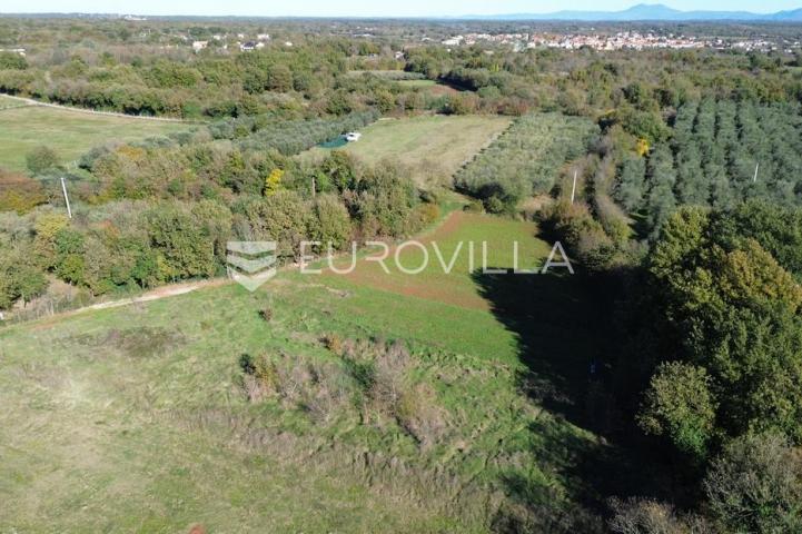 Istra, Marčana, poljoprivredno zemljište blizu centra Marčane