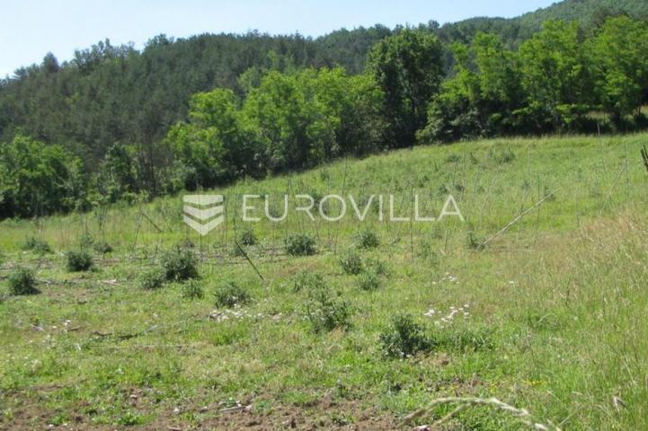 Istra, Buzet, građevinsko zemljište s idejnim projektom