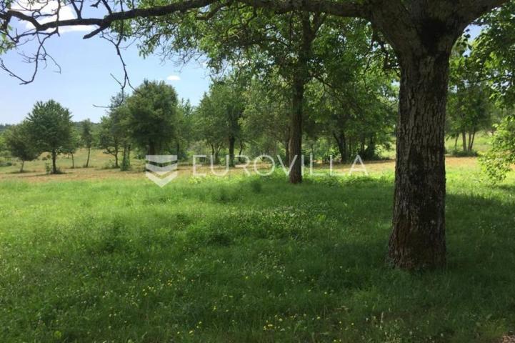 Poreč, okolica - lijepo građevinsko zemljište NKP 832 m2  + 395 m2 poljoprivredno pravilnog oblika 