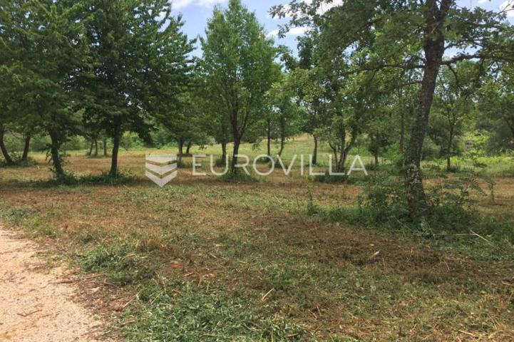 Poreč, okolica - lijepo građevinsko zemljište NKP 832 m2  + 395 m2 poljoprivredno pravilnog oblika 