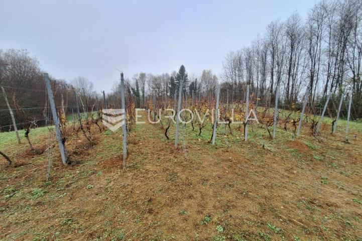 Duga Resa, Galović Selo, poljoprivredno zemljište 1400 m2 s vinogradom