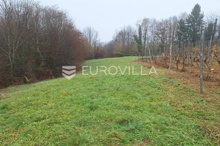 Duga Resa, Galović Selo, poljoprivredno zemljište 1400 m2 s vinogradom