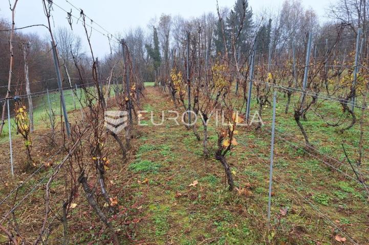 Duga Resa, Galović Selo, poljoprivredno zemljište 1400 m2 s vinogradom