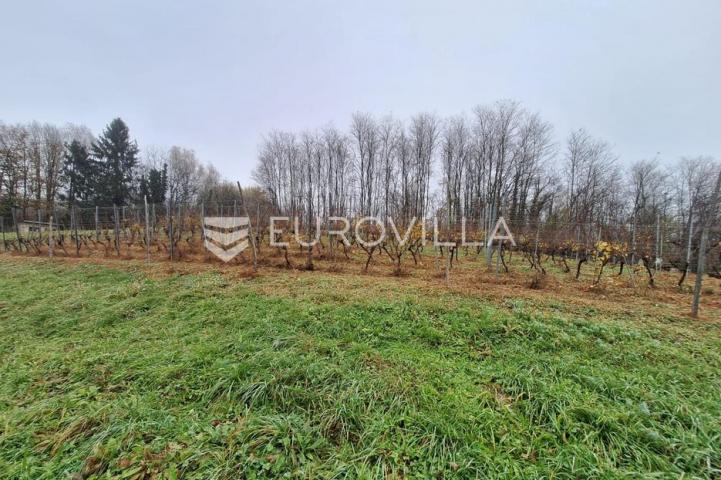 Duga Resa, Galović Selo, poljoprivredno zemljište 1400 m2 s vinogradom