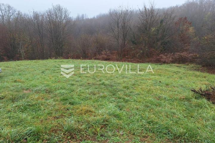 Duga Resa, Galović Selo, poljoprivredno zemljište 1400 m2 s vinogradom
