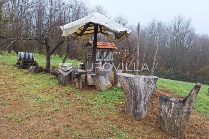 Duga Resa, Galović Selo, poljoprivredno zemljište 1400 m2 s vinogradom