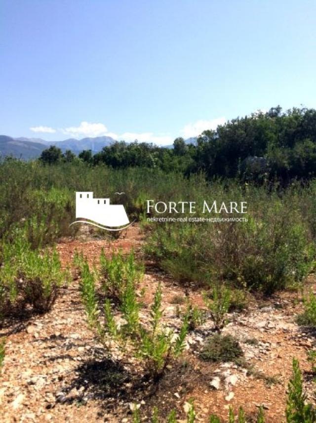Nekretnine Crna Gora, Tivat, Bjelila
