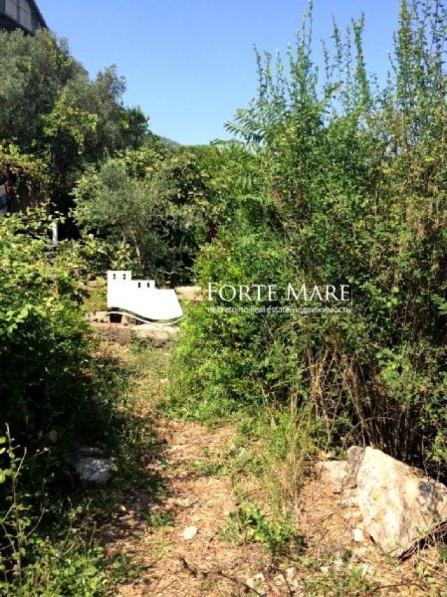 Nekretnine Crna Gora, Tivat, Bjelila