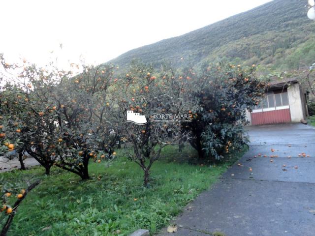 Nekretnine Crna Gora, Herceg Novi, Sutorina