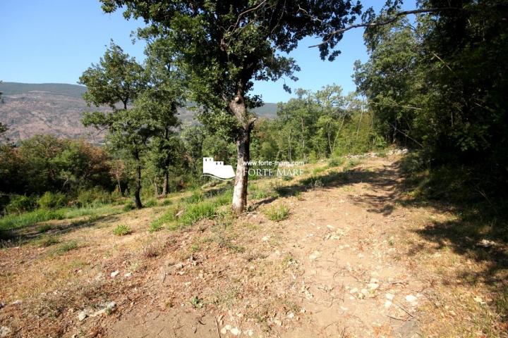 Nekretnine Crna Gora, Herceg Novi, Ratiševina