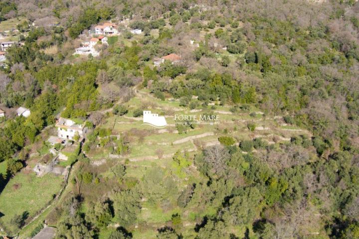 Property in Montenegro, Herceg Novi, Podi
