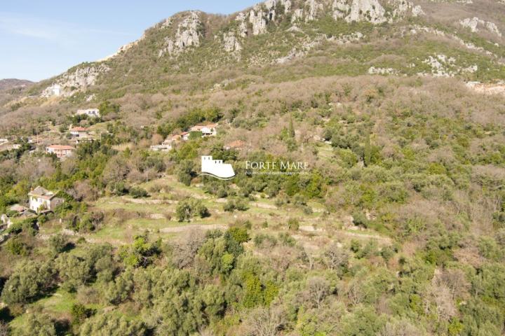 Property in Montenegro, Herceg Novi, Podi