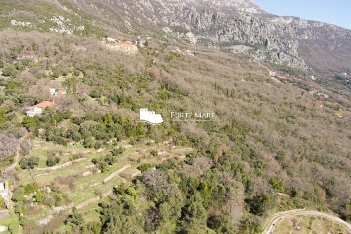 Property in Montenegro, Herceg Novi, Podi