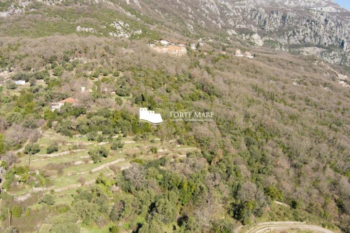 Property in Montenegro, Herceg Novi, Podi