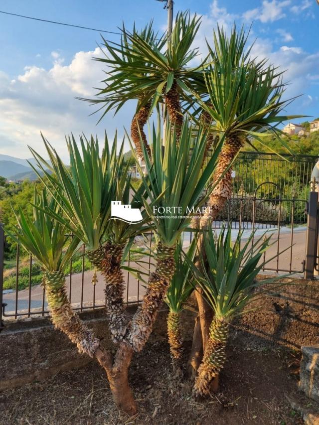 Nekretnine Crna Gora, Tivat