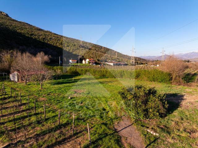 Prodaja, Zemljište, Podgorica, Beri, 13000m2