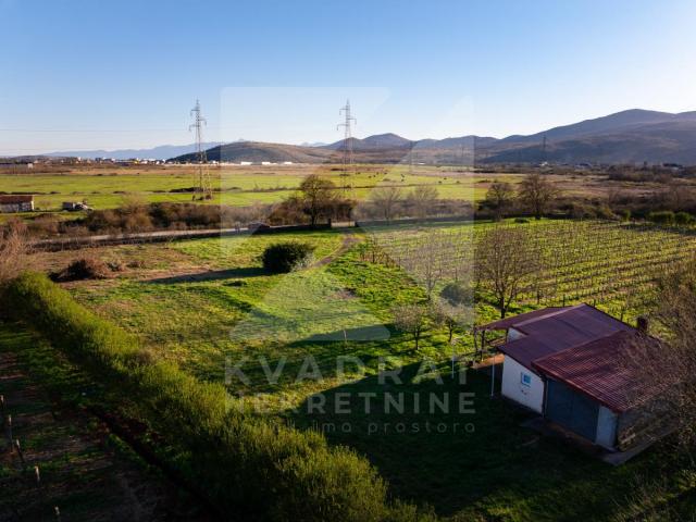 Prodaja, Zemljište, Podgorica, Beri, 13000m2