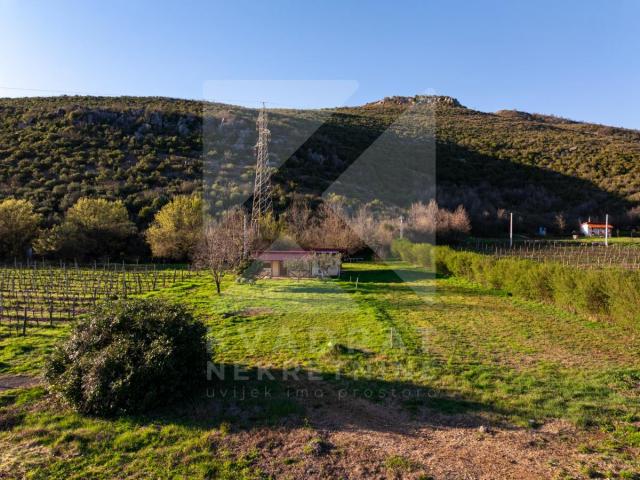 Prodaja, Zemljište, Podgorica, Beri, 13000m2