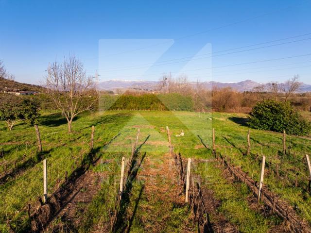 Prodaja, Zemljište, Podgorica, Beri, 13000m2