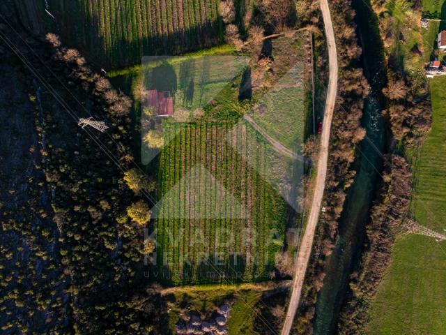 Prodaja, Zemljište, Podgorica, Beri, 13000m2